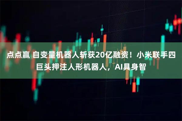 点点赢 自变量机器人斩获20亿融资！小米联手四巨头押注人形机器人，AI具身智