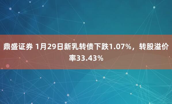 鼎盛证券 1月29日新乳转债下跌1.07%，转股溢价率33.43%