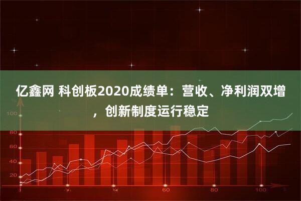 亿鑫网 科创板2020成绩单：营收、净利润双增，创新制度运行稳定