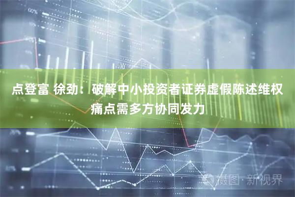 点登富 徐劲：破解中小投资者证券虚假陈述维权痛点需多方协同发力