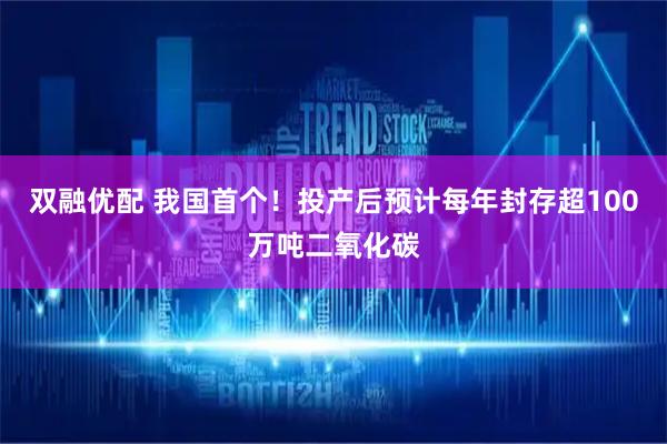 双融优配 我国首个！投产后预计每年封存超100万吨二氧化碳
