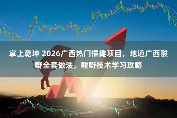 掌上乾坤 2026广西热门摆摊项目，地道广西酸嘢全套做法，酸嘢技术学习攻略