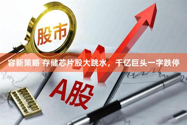 容新策略 存储芯片股大跳水，千亿巨头一字跌停