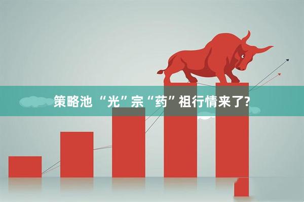 策略池 “光”宗“药”祖行情来了?